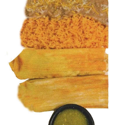 Tamales Dinner (2)